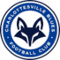 夏洛茨维尔蓝调